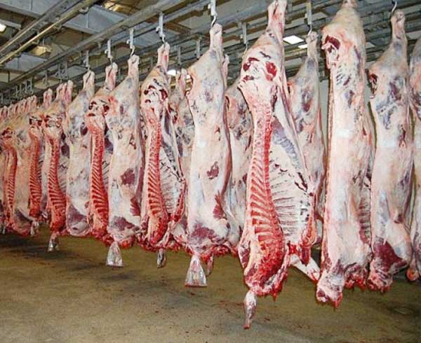 Ozone in Slaughterhouses