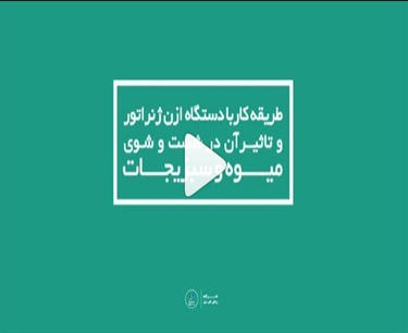 با دستگاه ازن ‌ژنراتور راش‌کیان به راحتی میوه، سبزیجات و خریدهای روزانتون رو ضدعفونی کنین