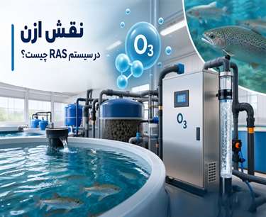 نقش ازن در سیستم RAS چیست؟